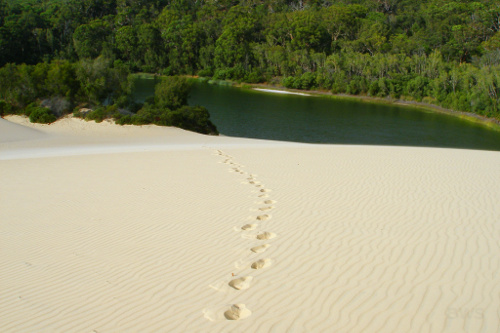 Parc national Great Sandy