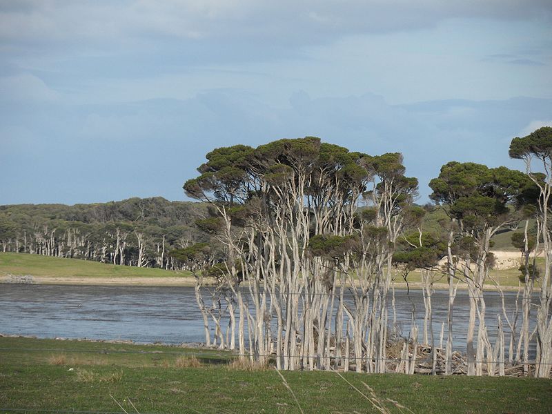 Lake Flannigan