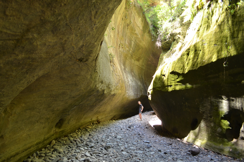 Carnarvon National Park