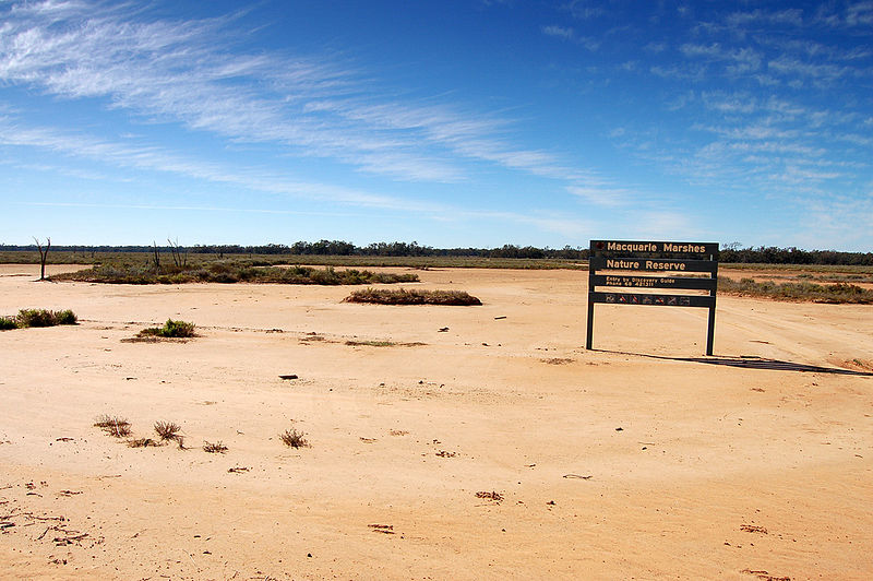 Macquarie Marshes Nature Reserve