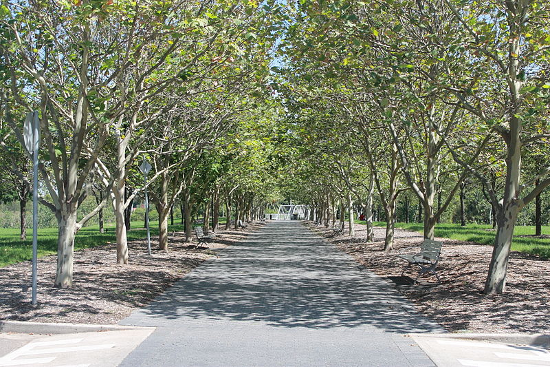 Bicentennial Park Olympic Park