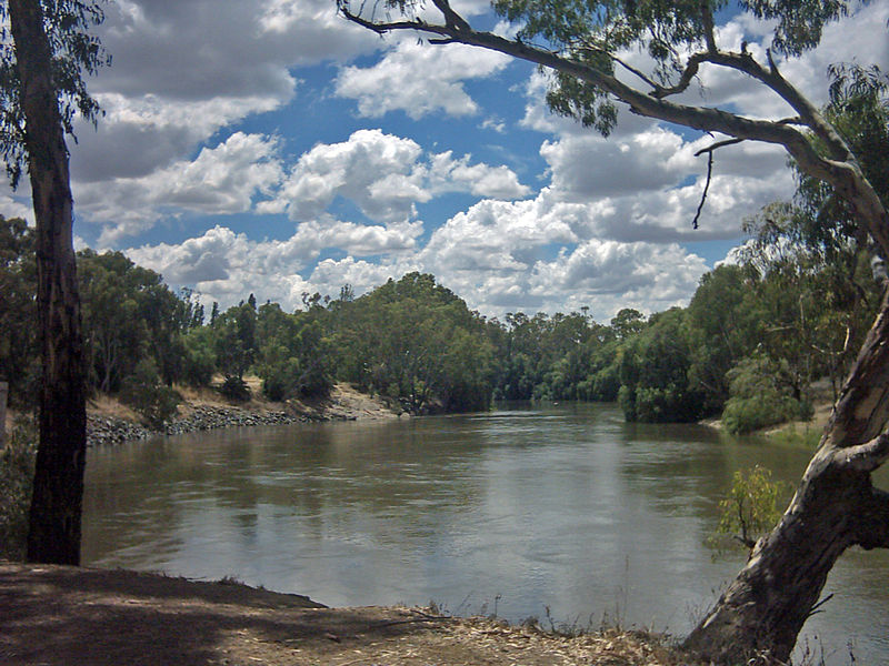 Scottsdale Reserve