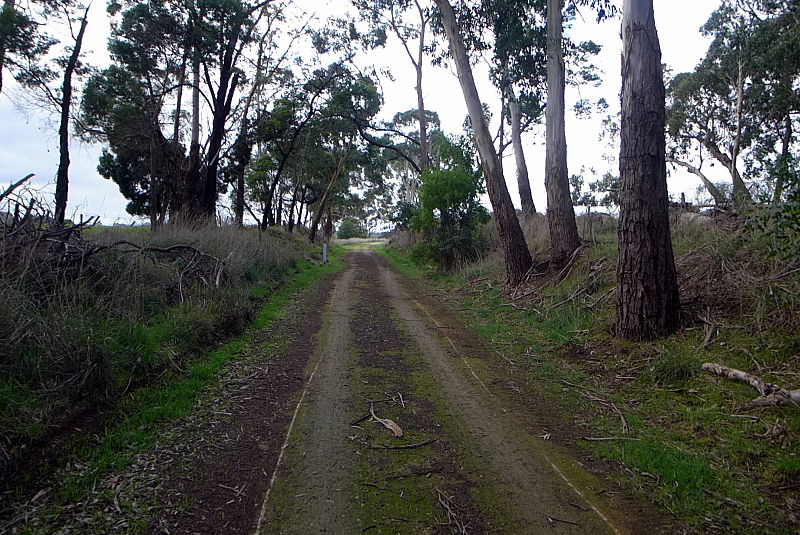 Port Fairy to Warrnambool Rail Trail