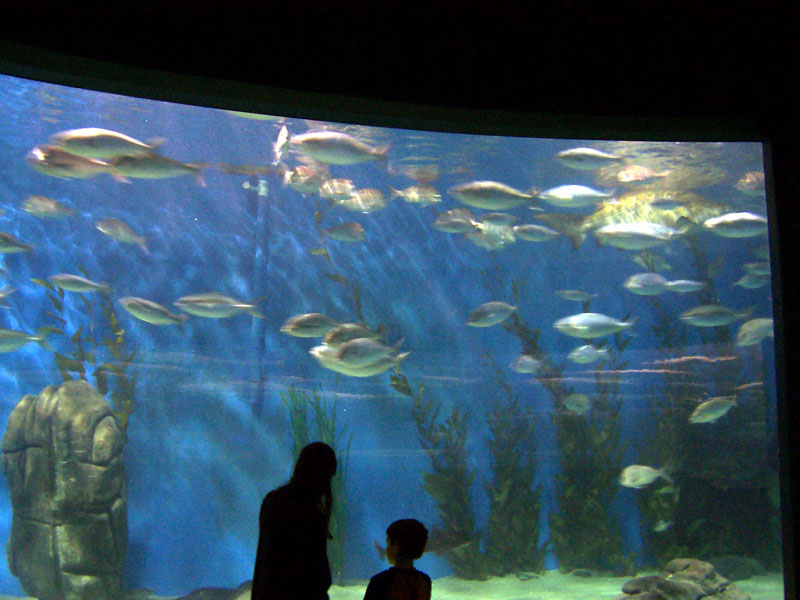 Aquarium de Melbourne