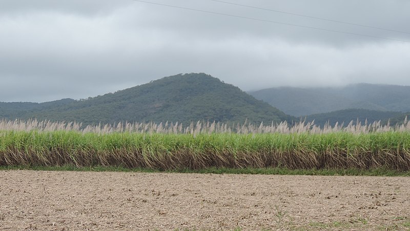 Plane Creek Sugar Mill