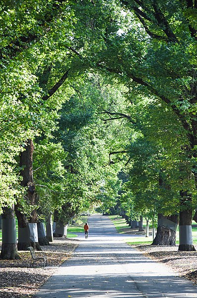 Carlton Gardens