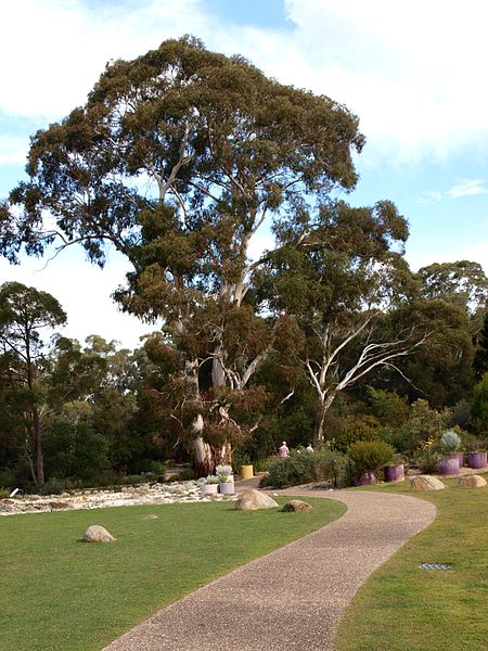 Jardins botaniques nationaux australiens