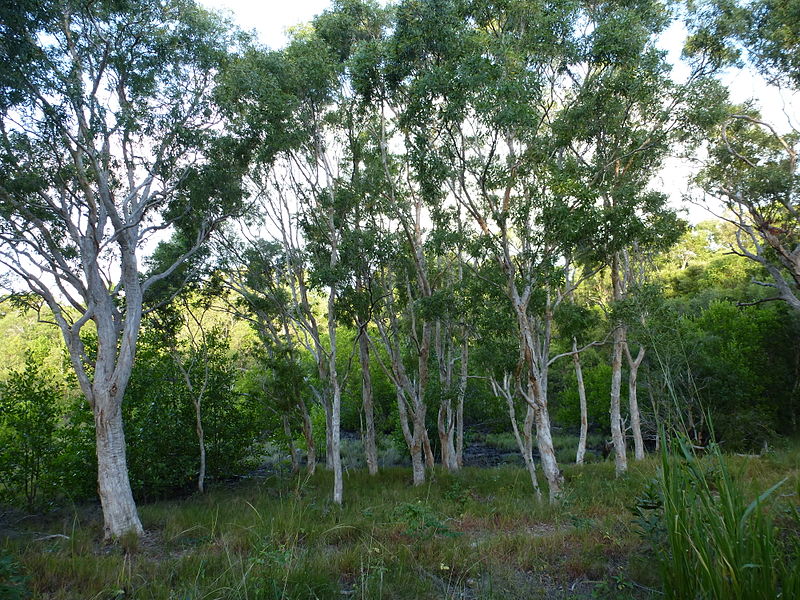 Cooktown Cemetery