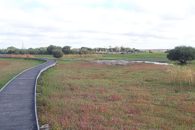 Rezerwat Dzikich Zwierząt Bool Lagoon