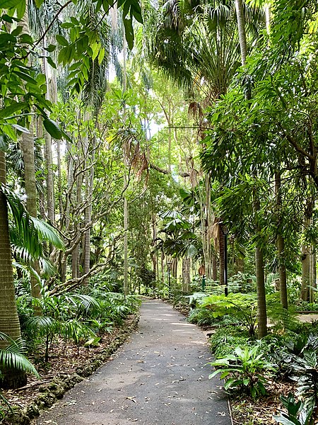 Jardín botánico de la ciudad de Brisbane