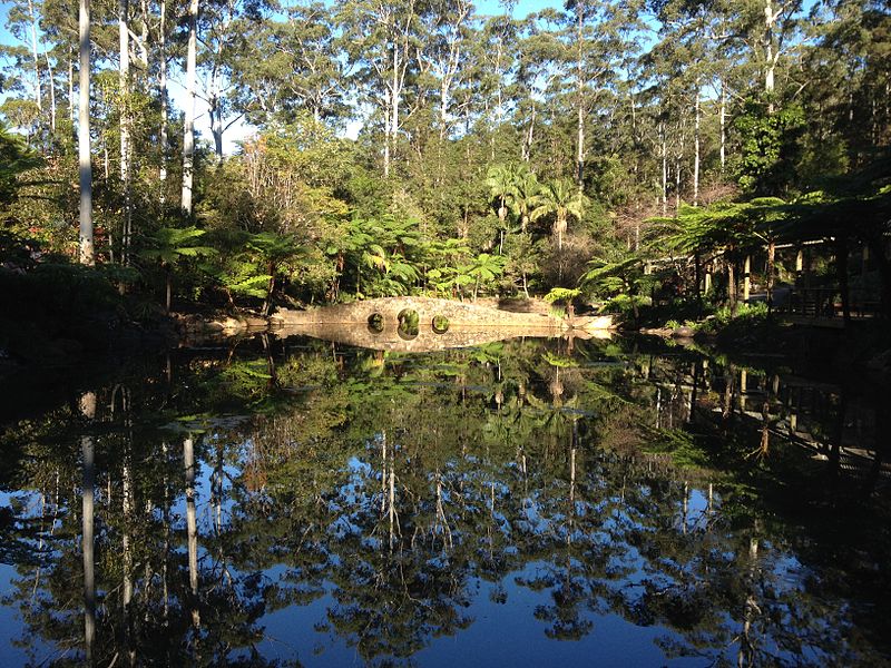 Parque nacional Tamborine