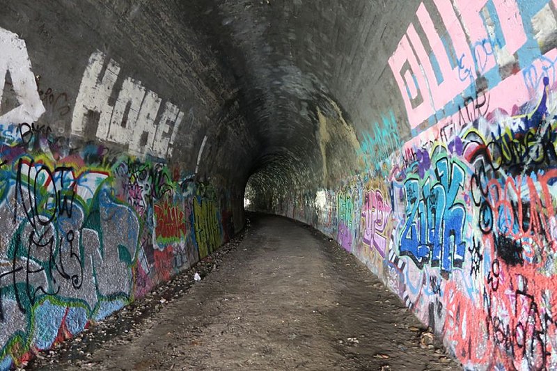 Ernest Junction Tunnel