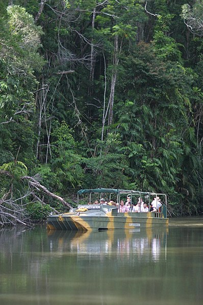 Park Krajobrazowy Rainforestation