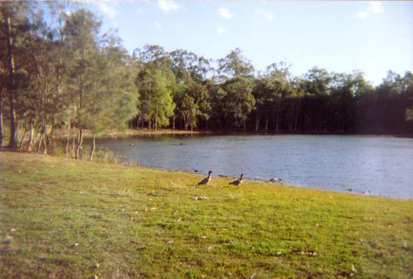 Brisbane Entertainment Centre