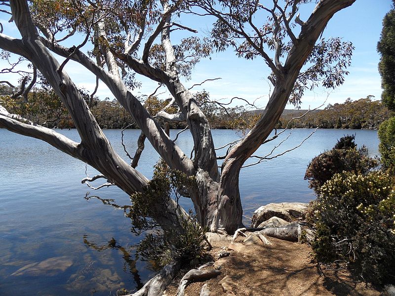 Lake Flannigan