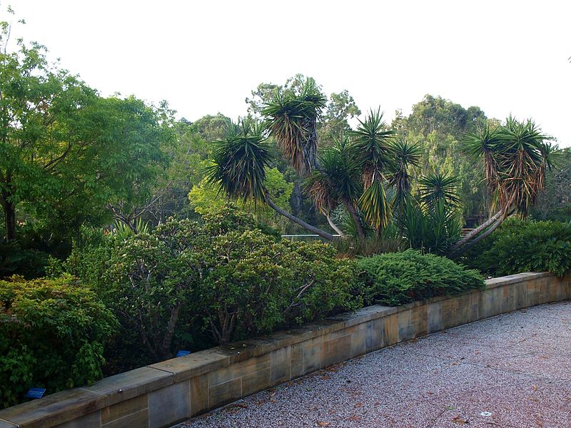 Jardín botánico regional de Gold Coast