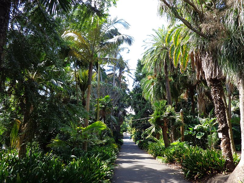 Real jardín botánico de Sídney