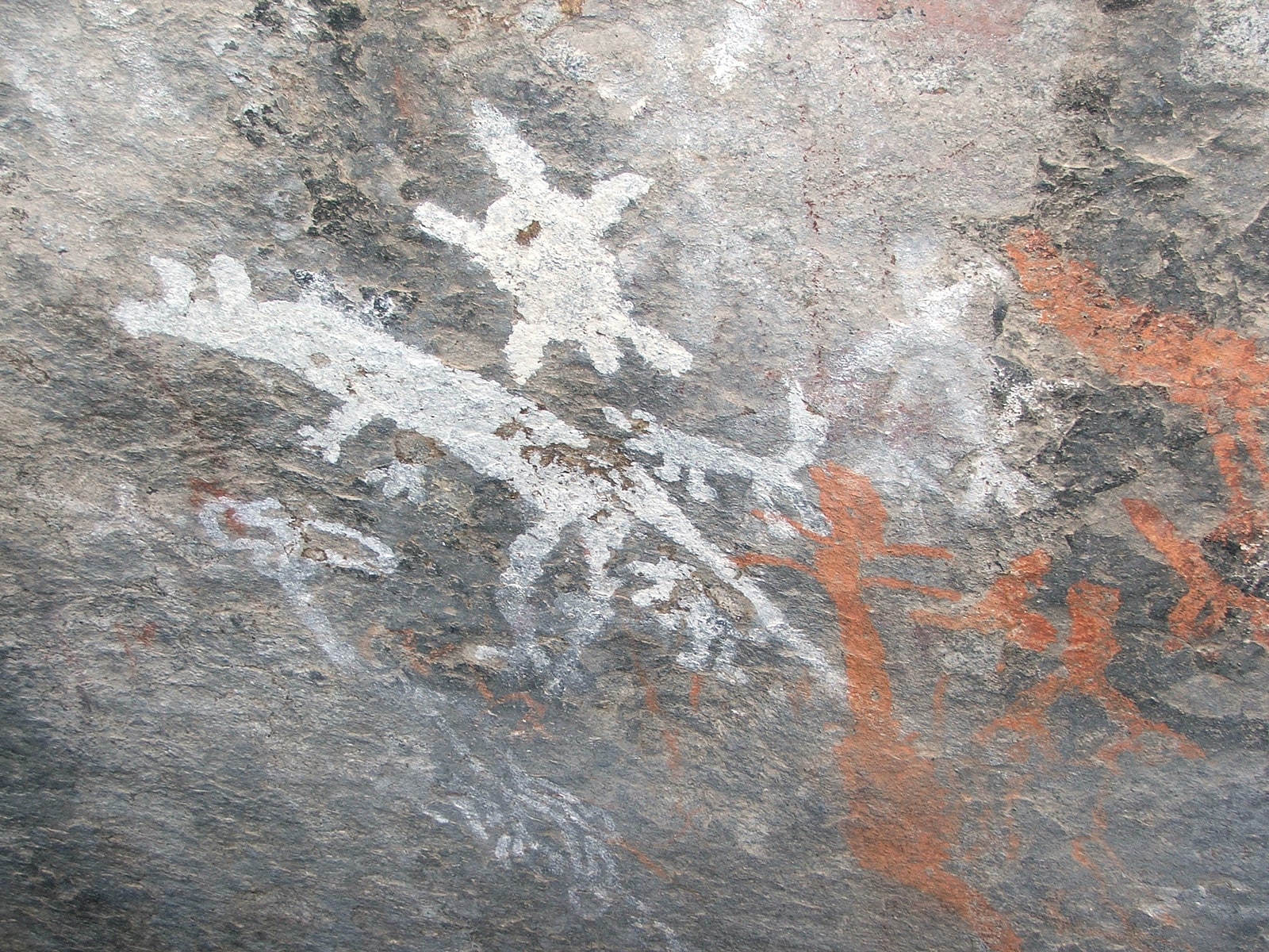 Park Narodowy Namadgi, Australia