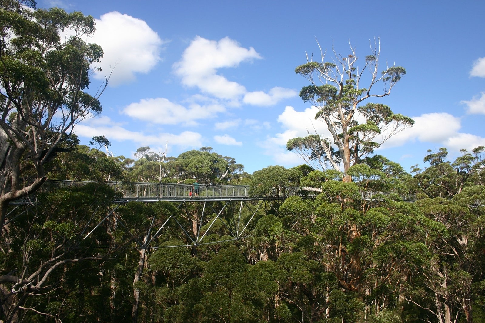 Park Narodowy Walpole-Nornalup, Australia