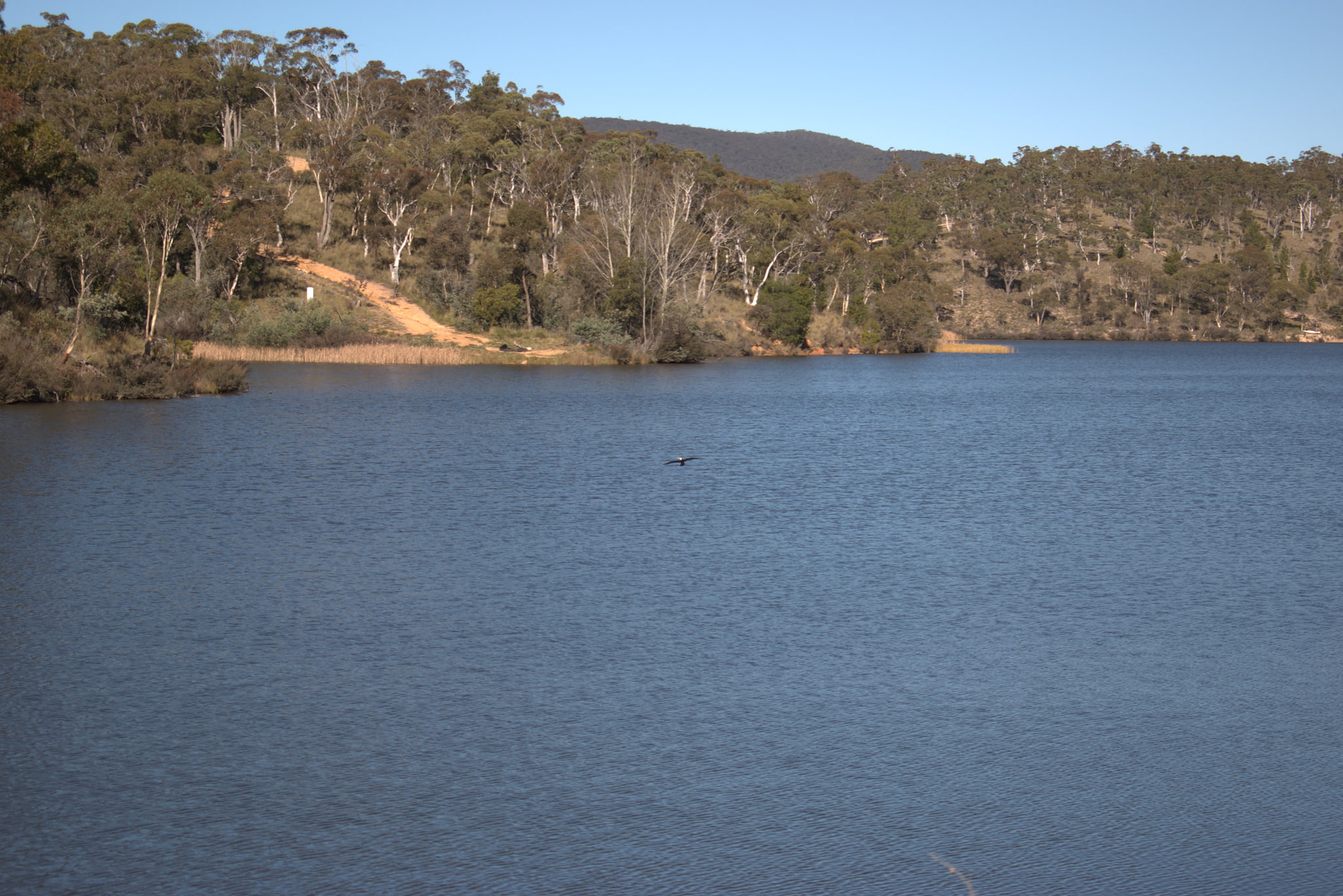 Park Narodowy Tallaganda, Australia