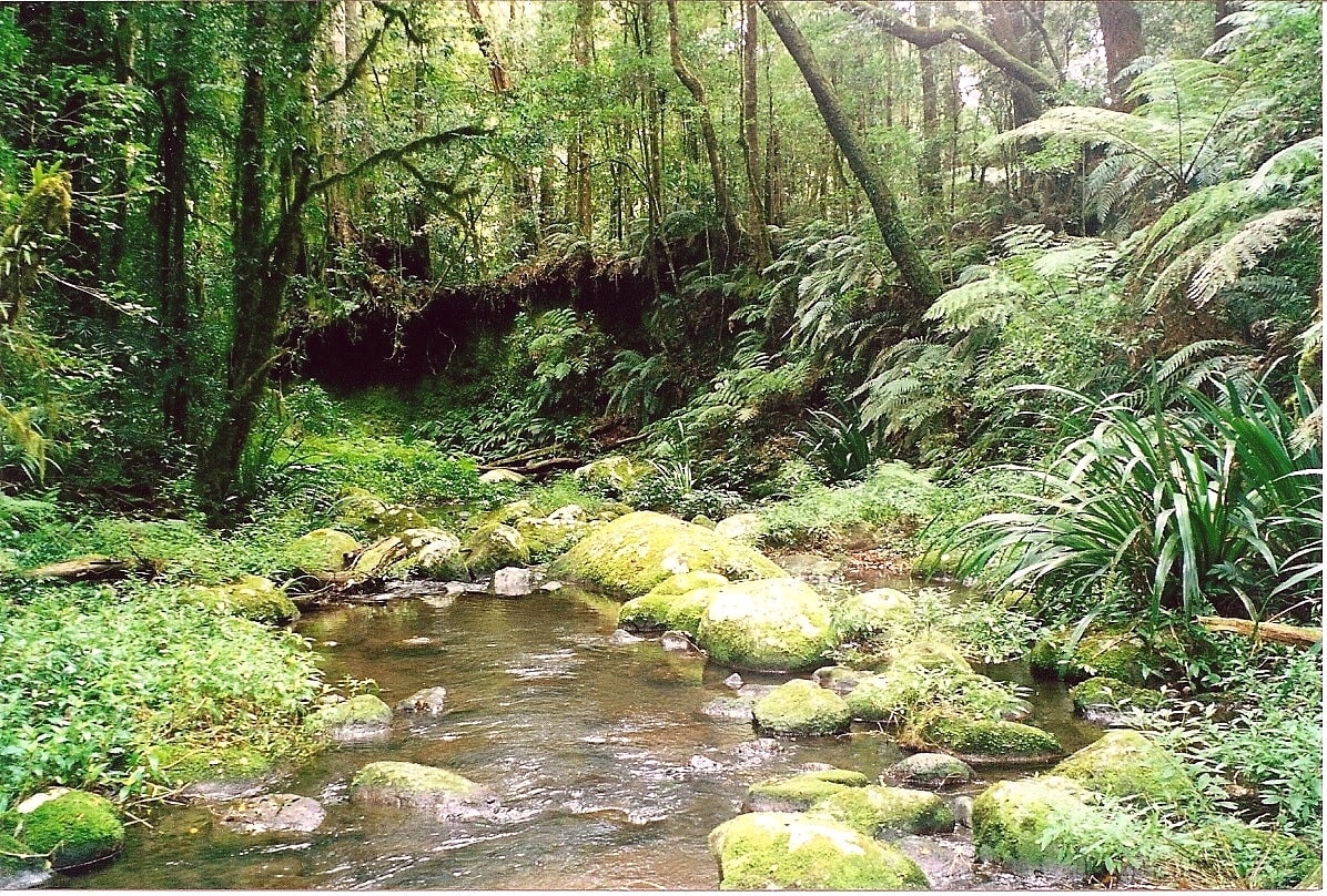 Parque nacional Montes de la Frontera, Australia