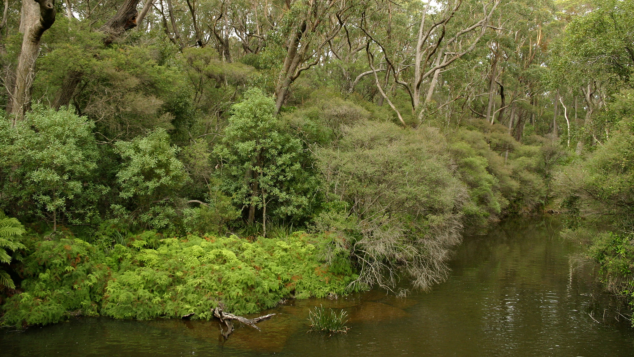 Parc national Budderoo, Australie