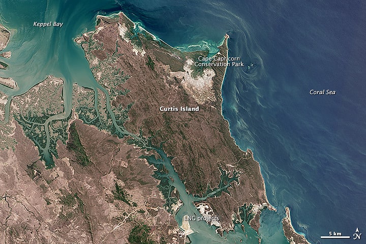 Park Narodowy Curtis Island, Australia