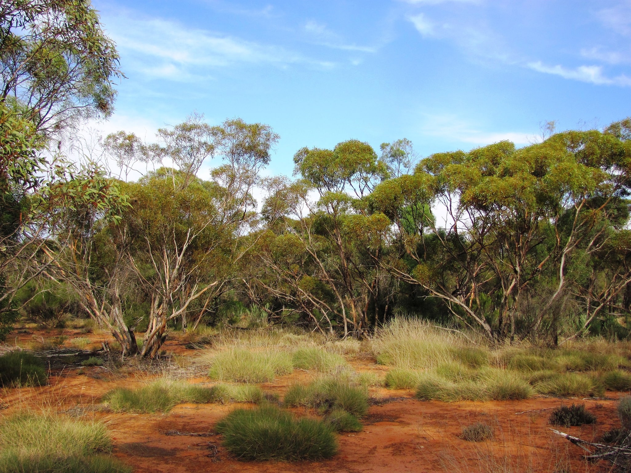 Riverland Biosphere Reserve, Australie