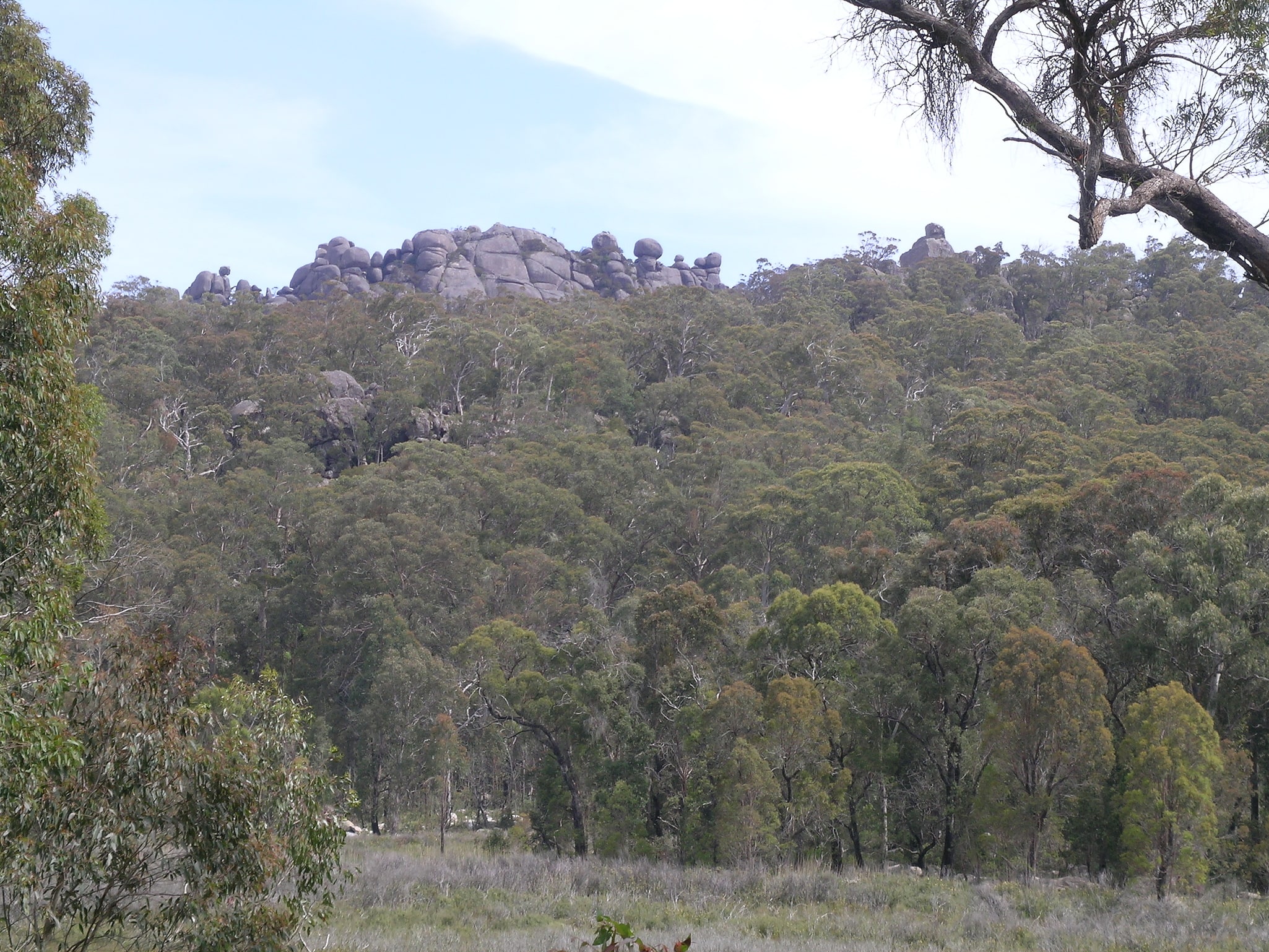 Parc national de Cathedral Rock, Australie