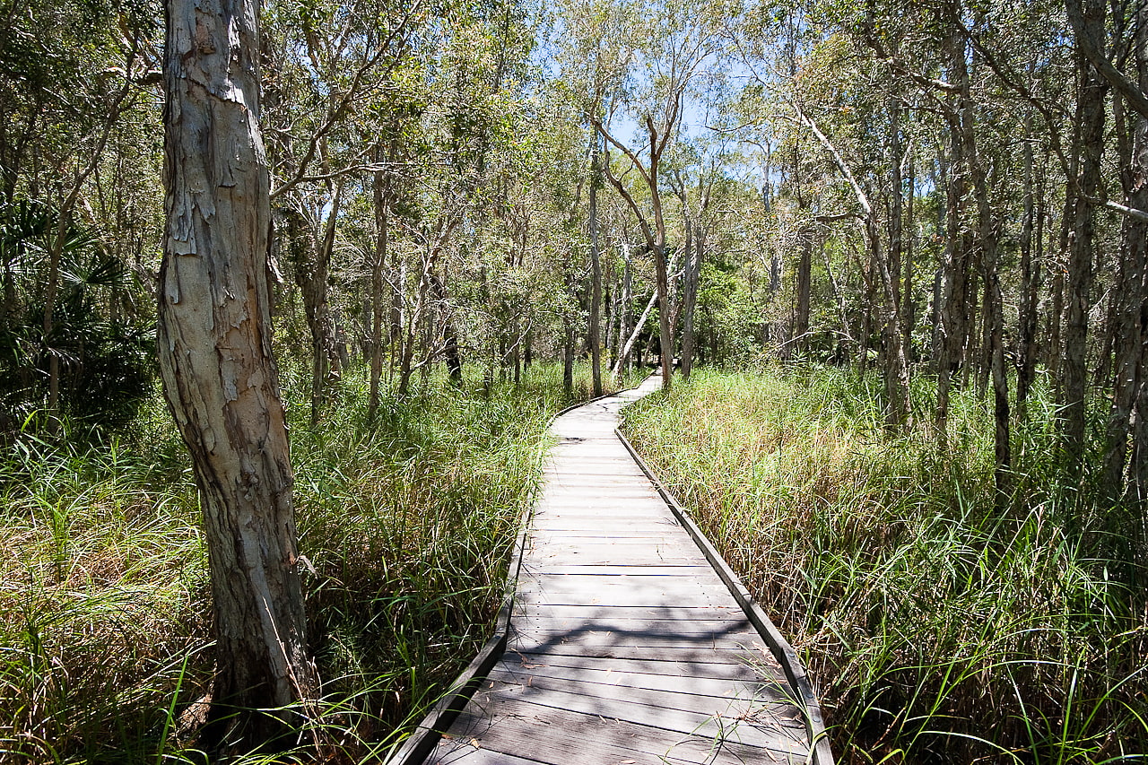 Burrum Coast National Park, Australia