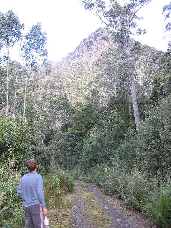 Central Plateau Conservation Area, Australien
