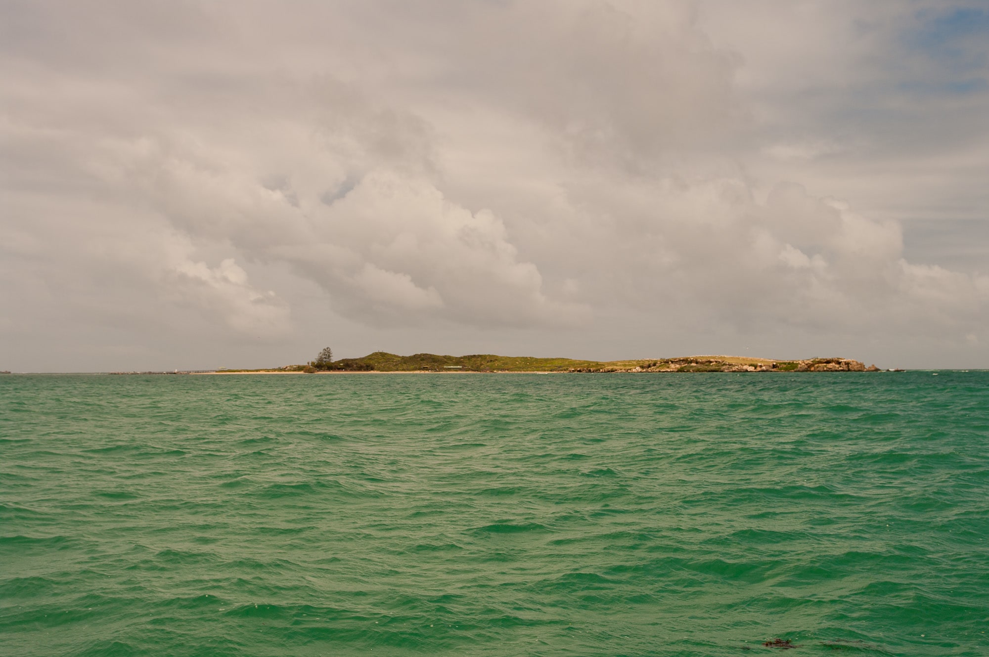 Shoalwater Islands Marine Park, Australie