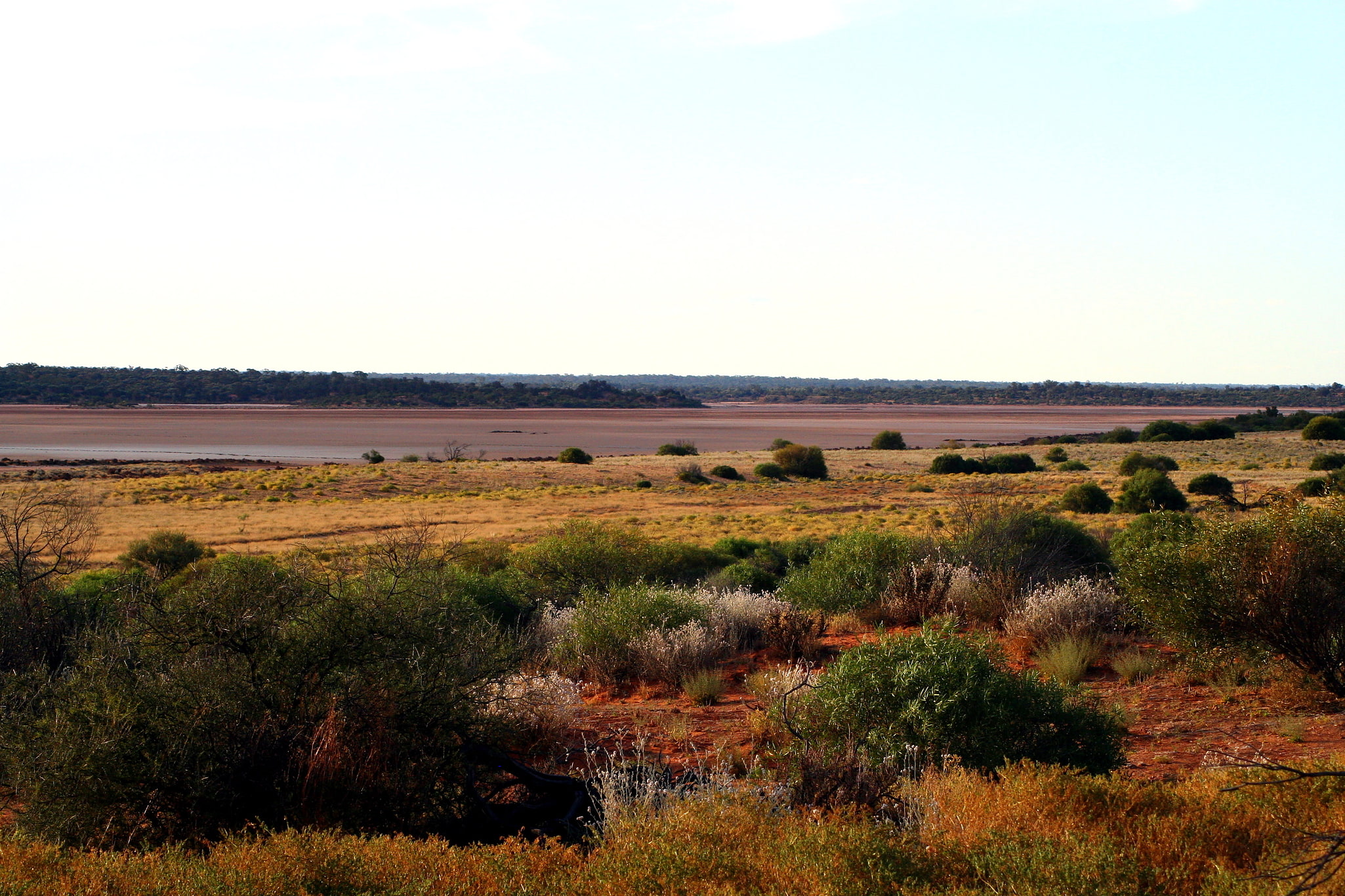 Grand désert de Victoria, Australie