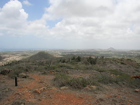Monte Jamanota
