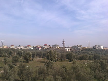 Zığ