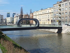 Festina lente Bridge