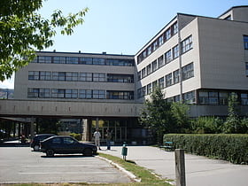 faculty of philosophy sarajevo