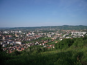 Starčevica