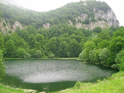 donje bare nationalpark sutjeska