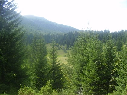 Raduša Mountain