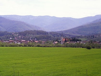 vitez