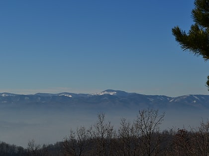 Očauš