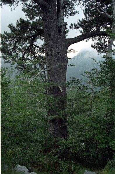 Parque natural Blidinje