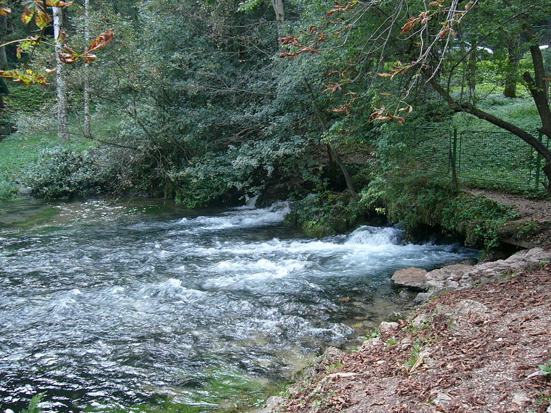 Spring of the Bosna river