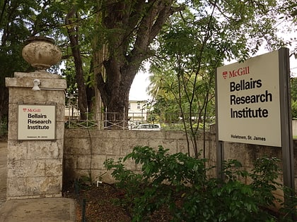 bellairs research institute holetown