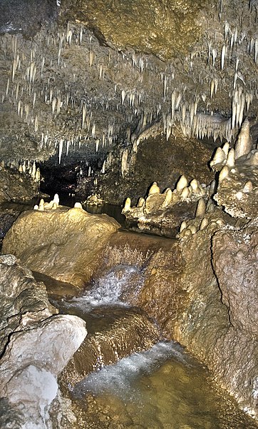 Cueva de Harrison
