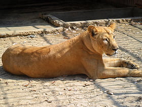 Zoo Chittagong