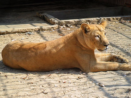 chittagong zoo cottogram