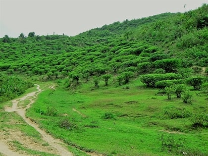 Park Narodowy Khadim Nagar