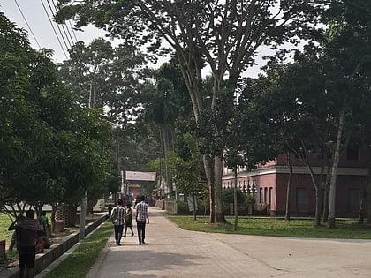 Brajalal College
